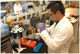 Air quality one of many risk factors for IVF