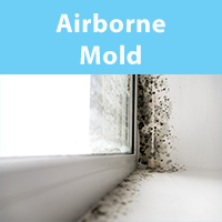 Air Purifiers for Airborne Mold